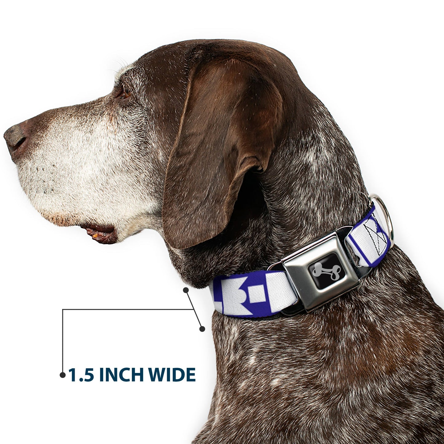 Dog Bone Seatbelt Buckle Collar - BUCKLE - DOWN Shapes Blue/White - Seatbelt Buckle Collars - Buckle - Down