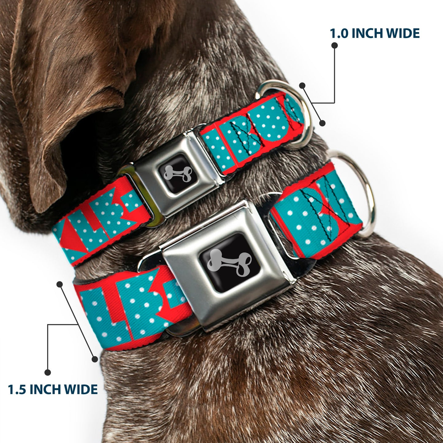 Dog Bone Seatbelt Buckle Collar - BUCKLE - DOWN Shapes Red/Dot Turquoise/White - Seatbelt Buckle Collars - Buckle - Down