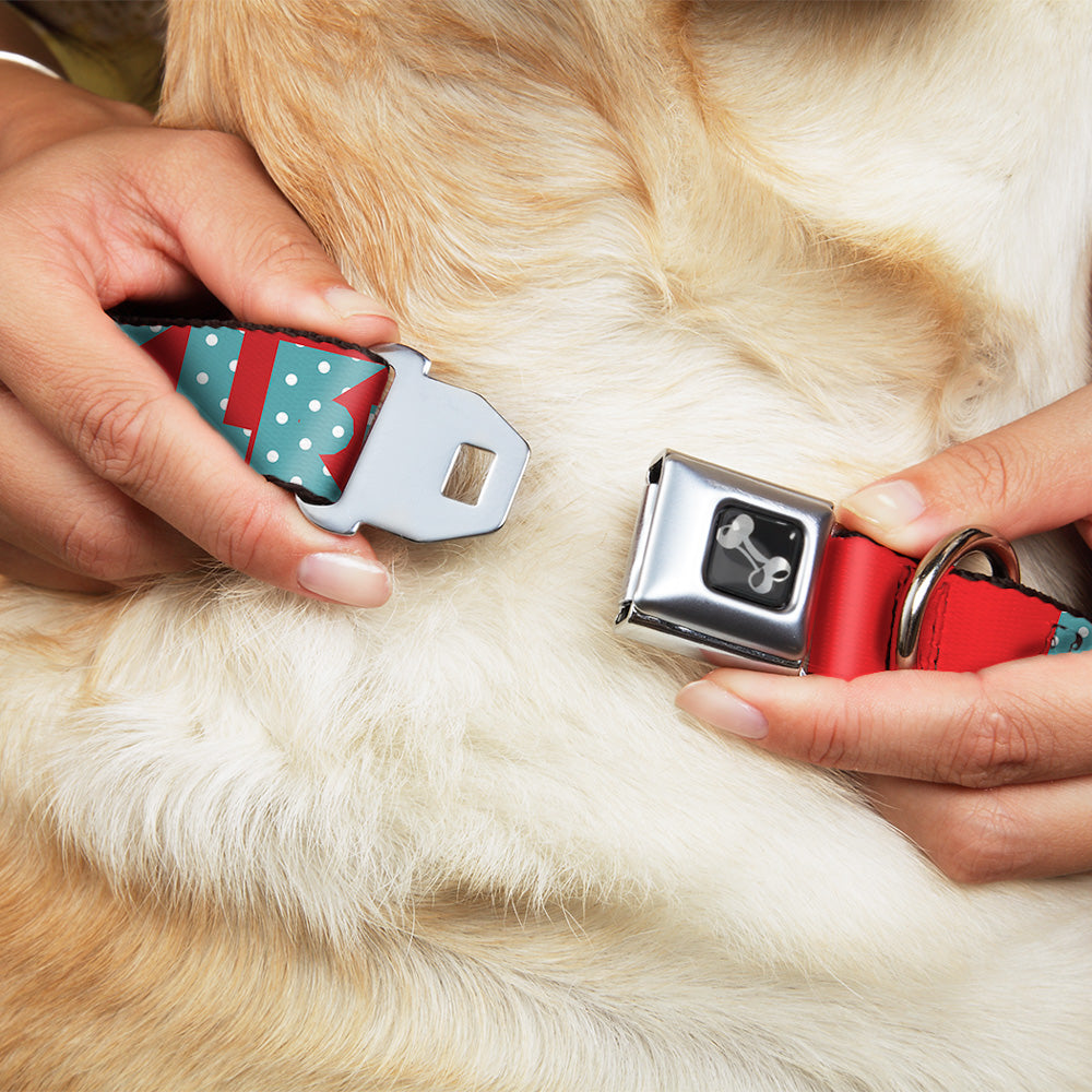 Dog Bone Seatbelt Buckle Collar - BUCKLE - DOWN Shapes Red/Dot Turquoise/White - Seatbelt Buckle Collars - Buckle - Down