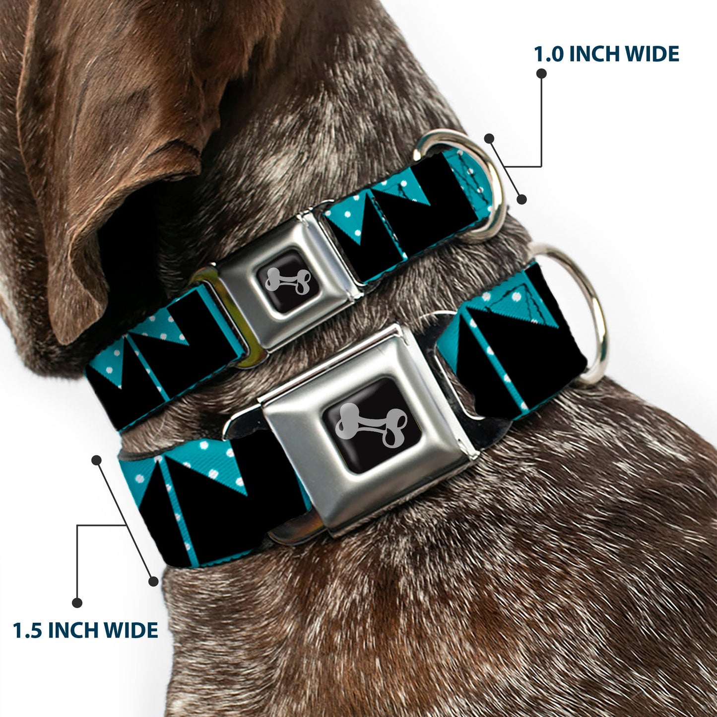 Dog Bone Seatbelt Buckle Collar - BUCKLE - DOWN Shapes Dot Turquoise/White/Black - Seatbelt Buckle Collars - Buckle - Down