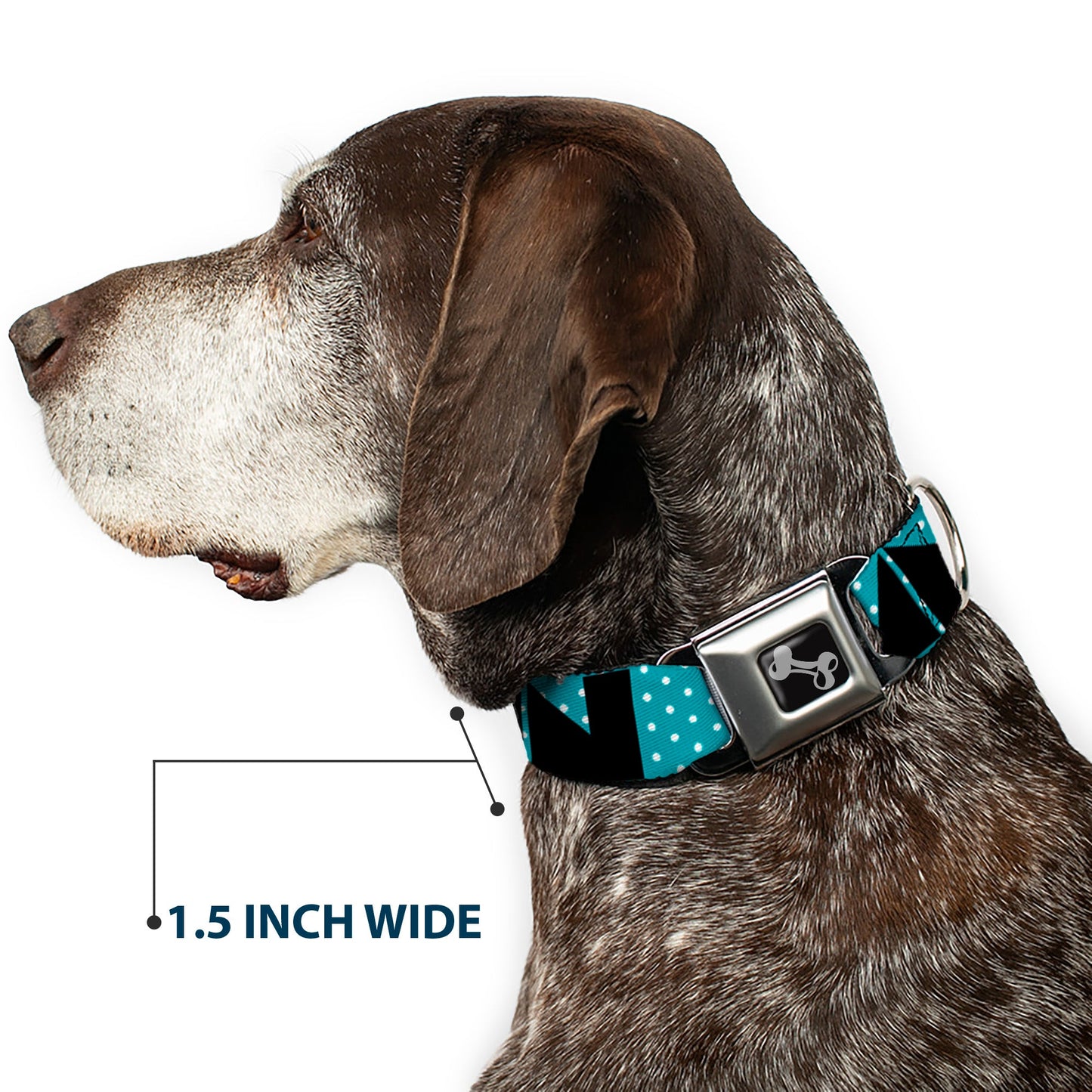 Dog Bone Seatbelt Buckle Collar - BUCKLE - DOWN Shapes Dot Turquoise/White/Black - Seatbelt Buckle Collars - Buckle - Down