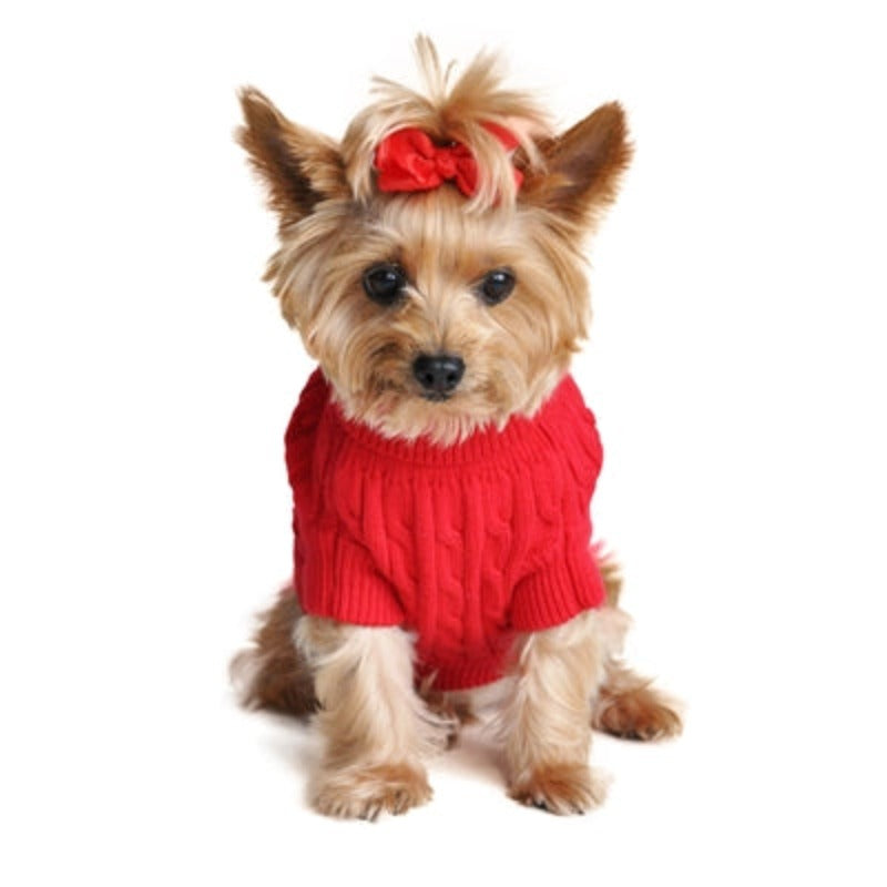 Combed 100% Cotton Cable Knit Fiery Red Dog Sweater