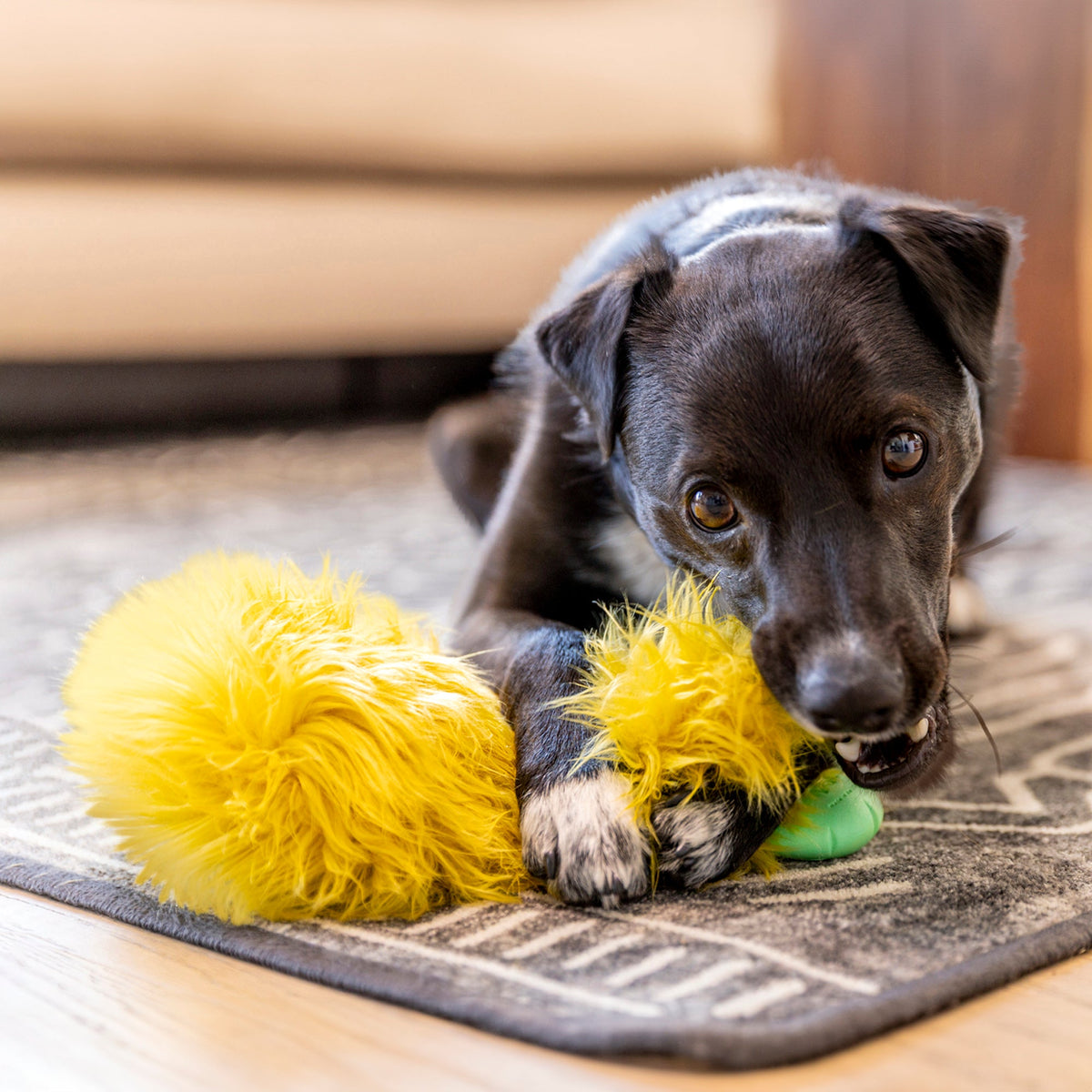 Astrid - gallery view 6 | Dog Toys at Purrfect Pet Kingdom for Dogs and Cats for Dogs and Cats