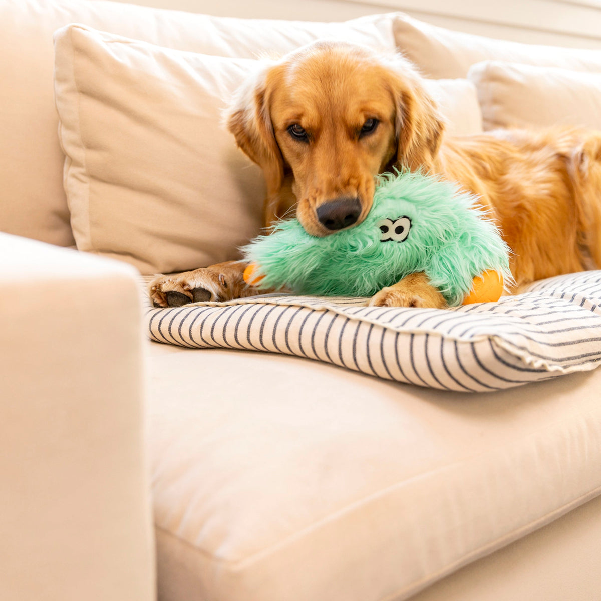 Bjorn Interactive Dog Toy Durable Play Premium - gallery image 7