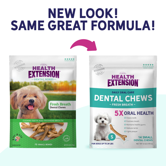 Fresh Breath Dental Bones