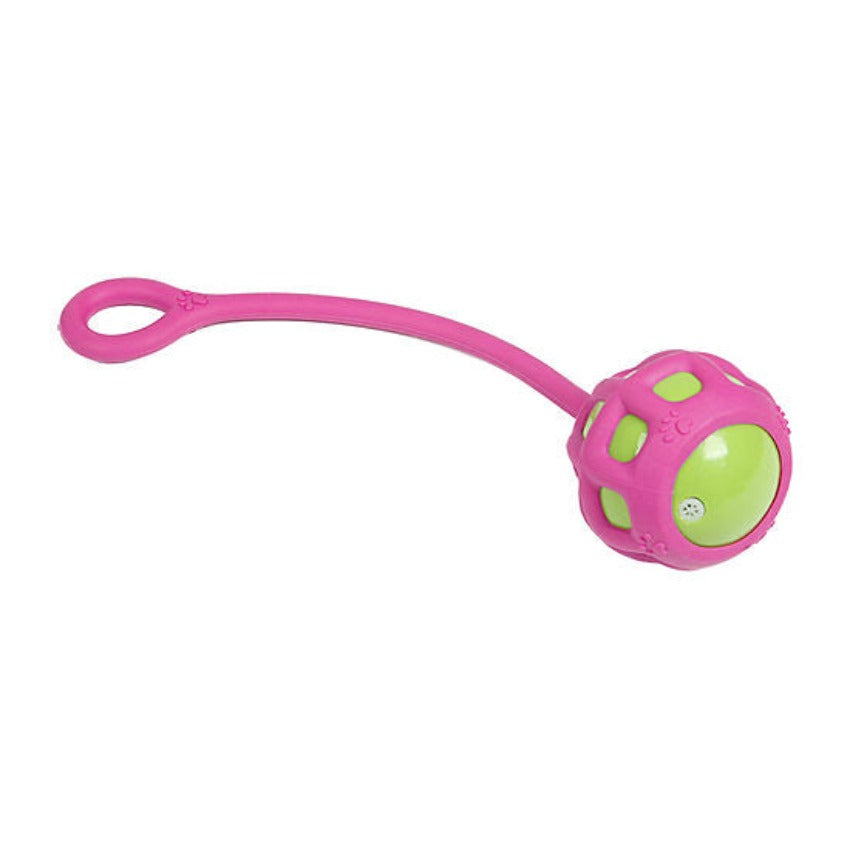 Pet Life ® Tug-O-Warp Fetching Tugging and Chew Toy