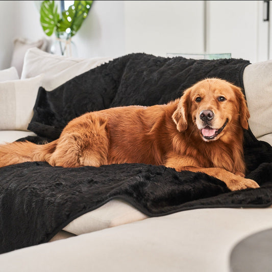Waterproof Pet Blanket Soft Throw Midnight Black Washable - detail view