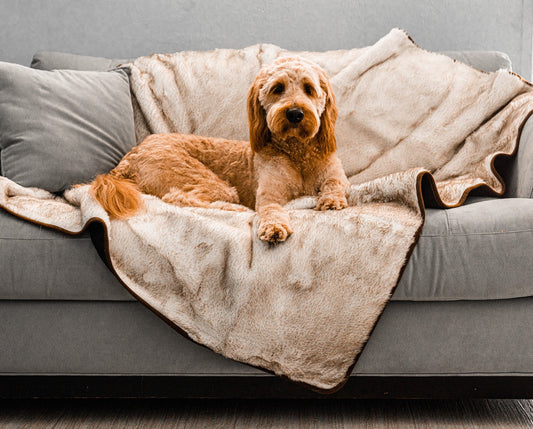 Pupprotector Summer Short Fur Waterproof Throw Blanket With - detail view