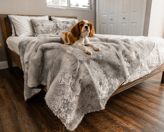 Waterproof Pet Blanket Soft Throw Grey Washable Cover Premiu - detail view