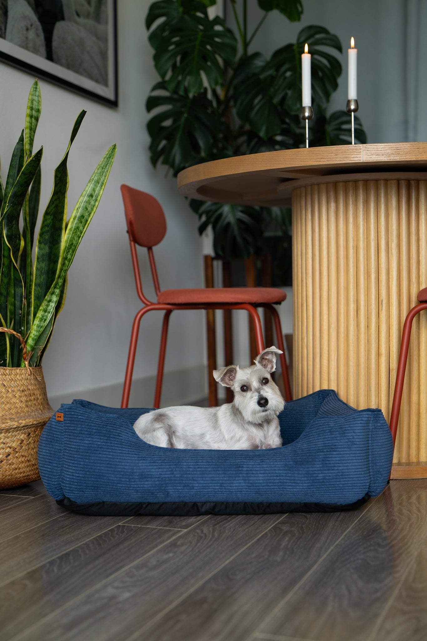 Purrfect Kingdom™ - Fancy Corduroy Bolster Pet Bed