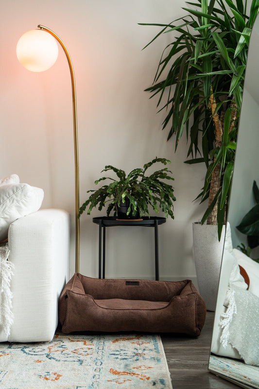 Dog Bed Milk Chocolate Sleeper