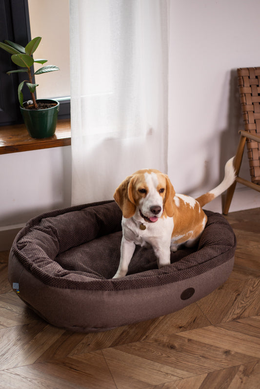 Cuddly Bagel Dog Bed