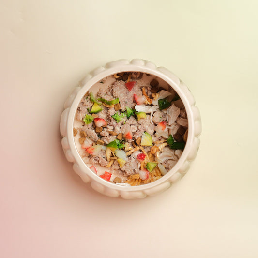 Spill-Proof Ceramic Gradient Dining Bowl for Small Pets