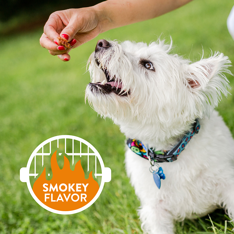 Dogswell Hip & Joint Grillers Treats, Chicken Recipe (12oz) - Dogswell Dog Treats - The Family Pet