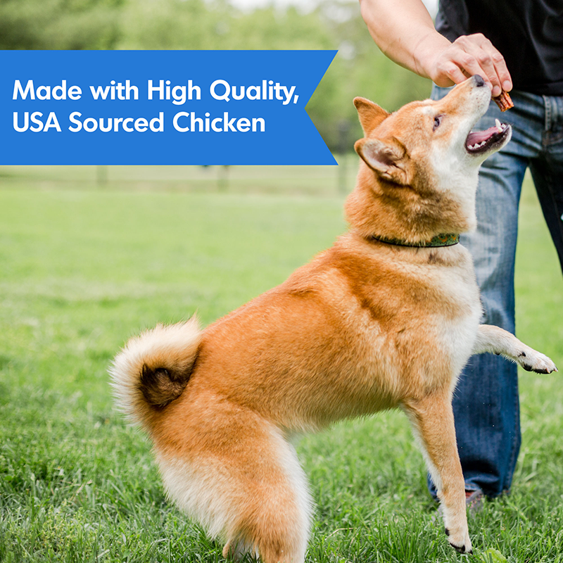 Dog Treats Immune System Jerky Chicken 24 Oz ๐