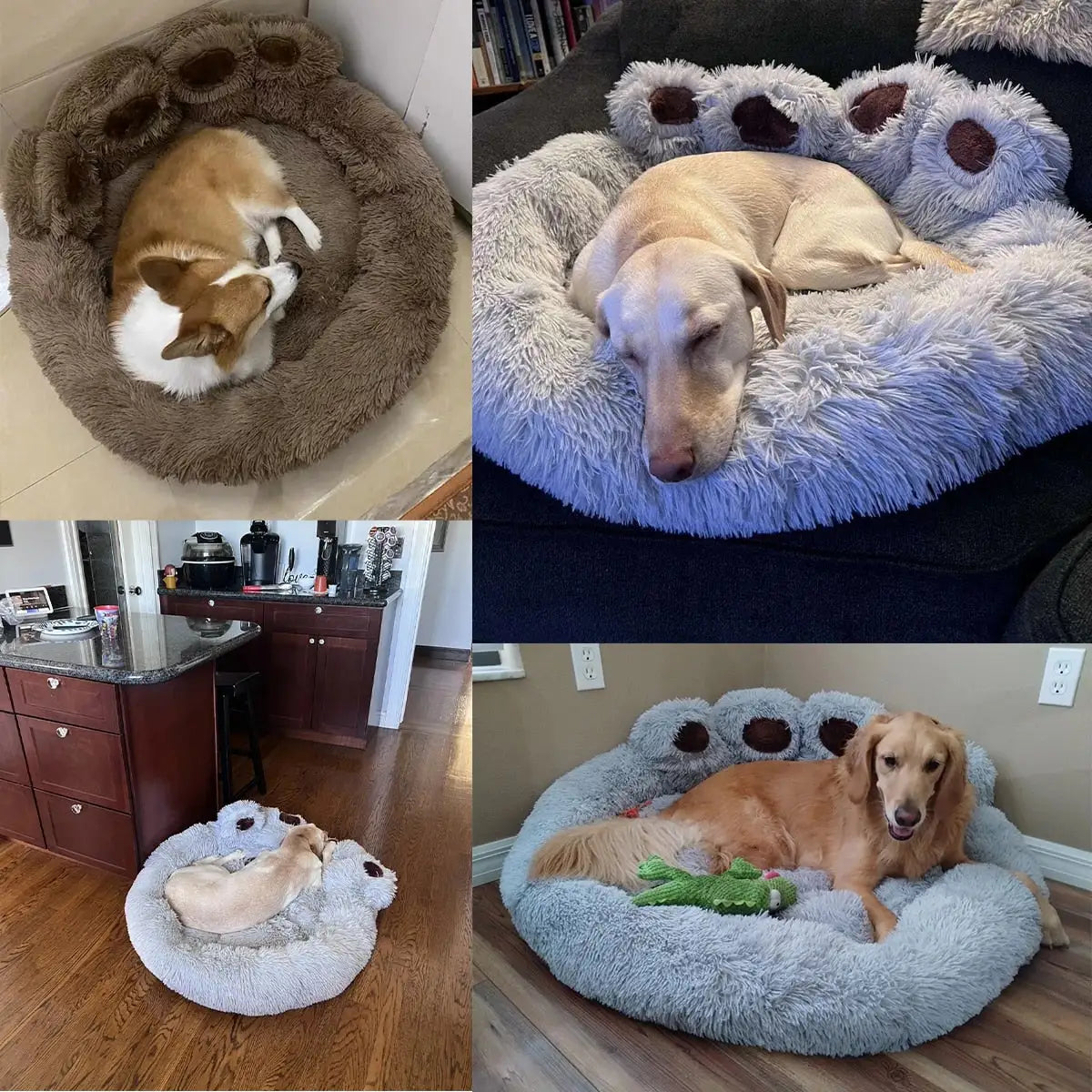 Pet Dog Sofa Beds - Mimarta