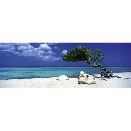 Divi Divi Tree 1000 Piece Panoramic Jigsaw Puzzle Heye