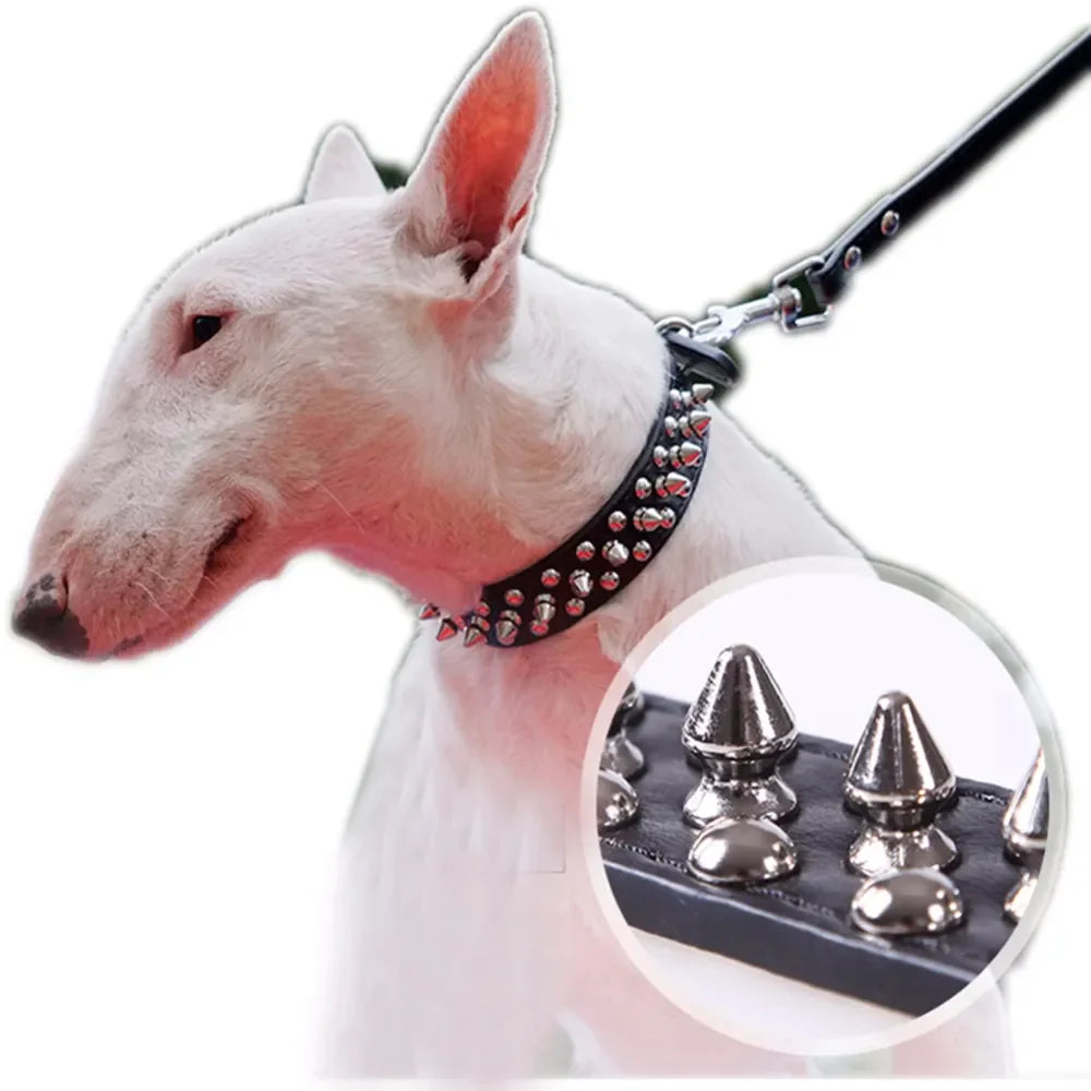 Rugged Leather Spiked Collar for Dogs and Cats - Ameraeon
