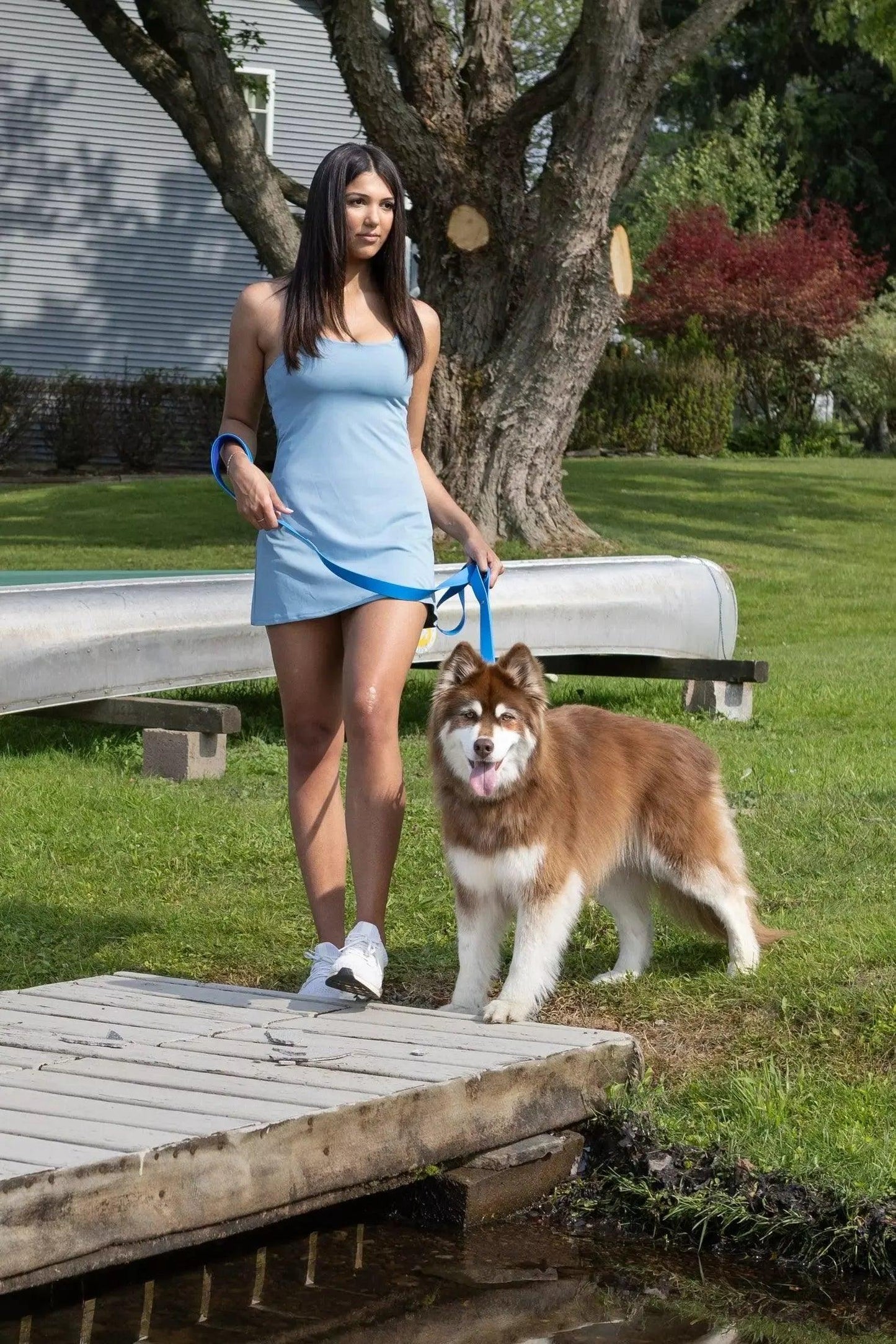 Dockside Adventures Waterproof Dog Collar - Purrfect Pet Kingdom