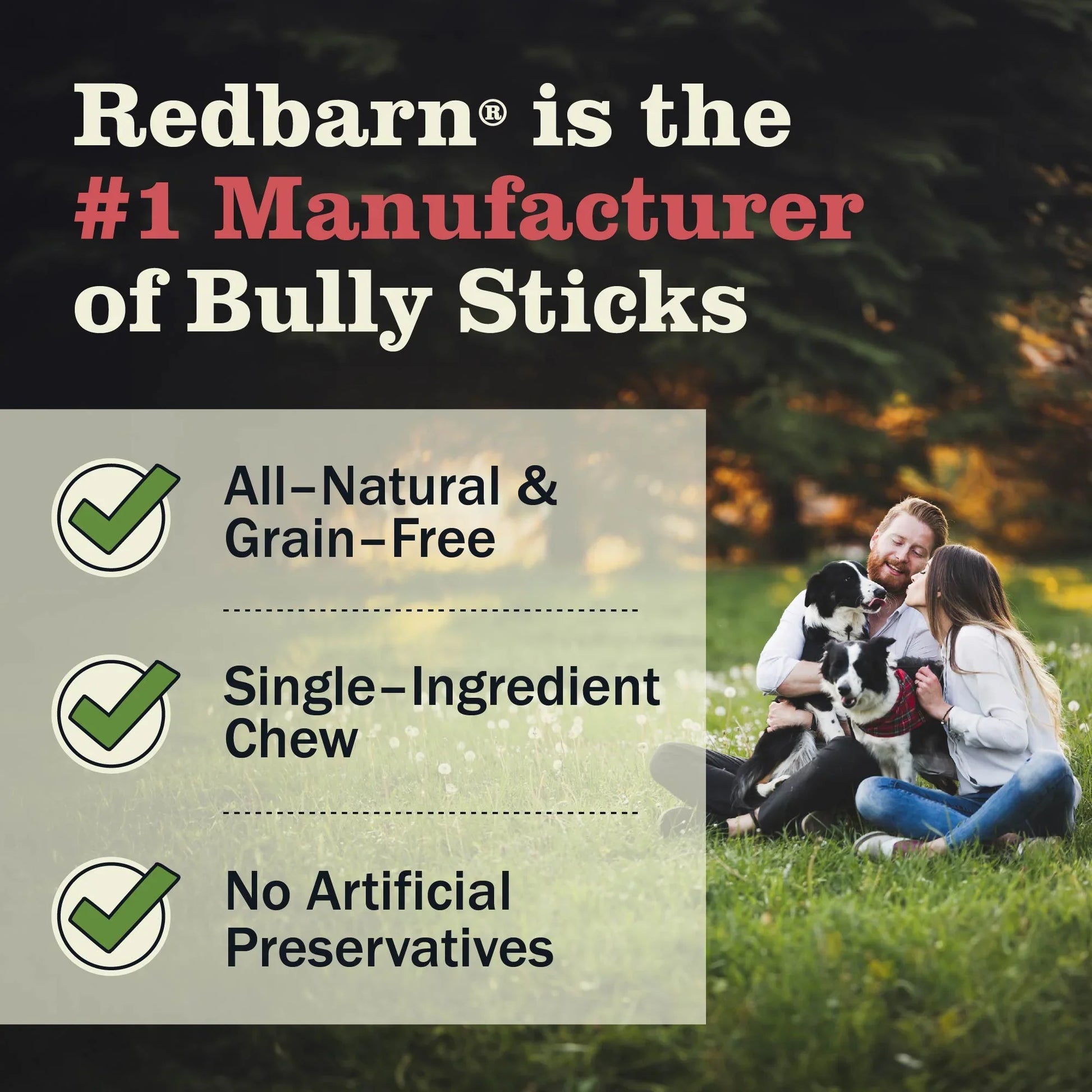 Redbarn Dog Bully Springs (0.68oz) - Dog Chews - The Family Pet