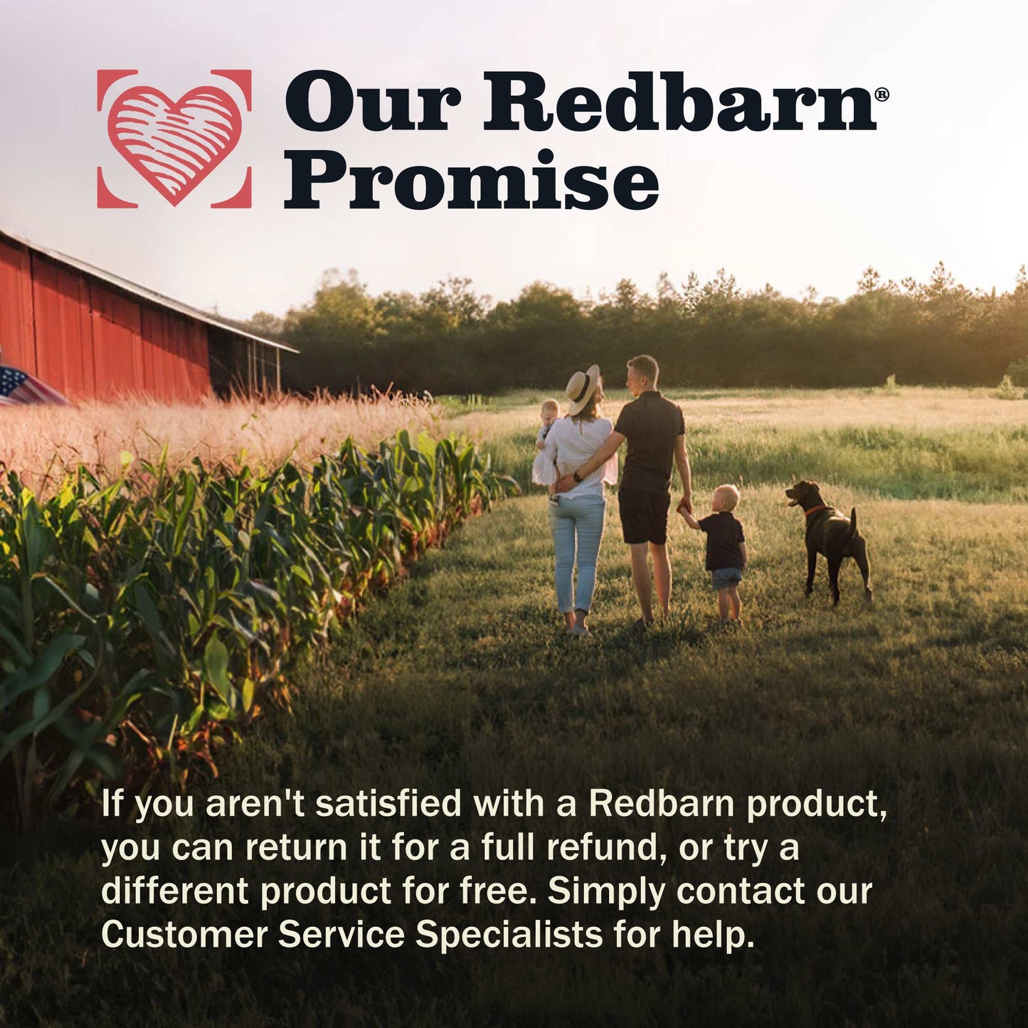 Redbarn Dog Bully Springs (0.68oz) - Dog Chews - The Family Pet