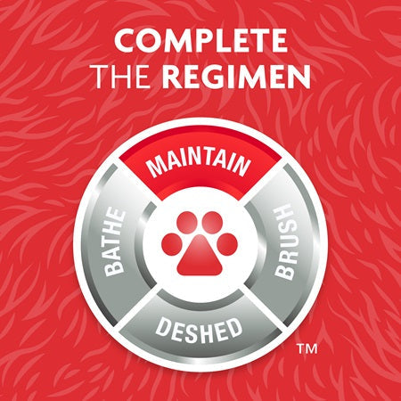 Dog Nail Clippers - Professional Precision ✂️