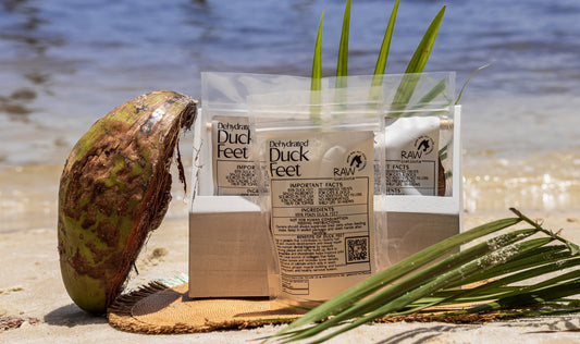 Dehydrated Duck Feet for Dogs & Cats — 100% Pekin Duck | Raw