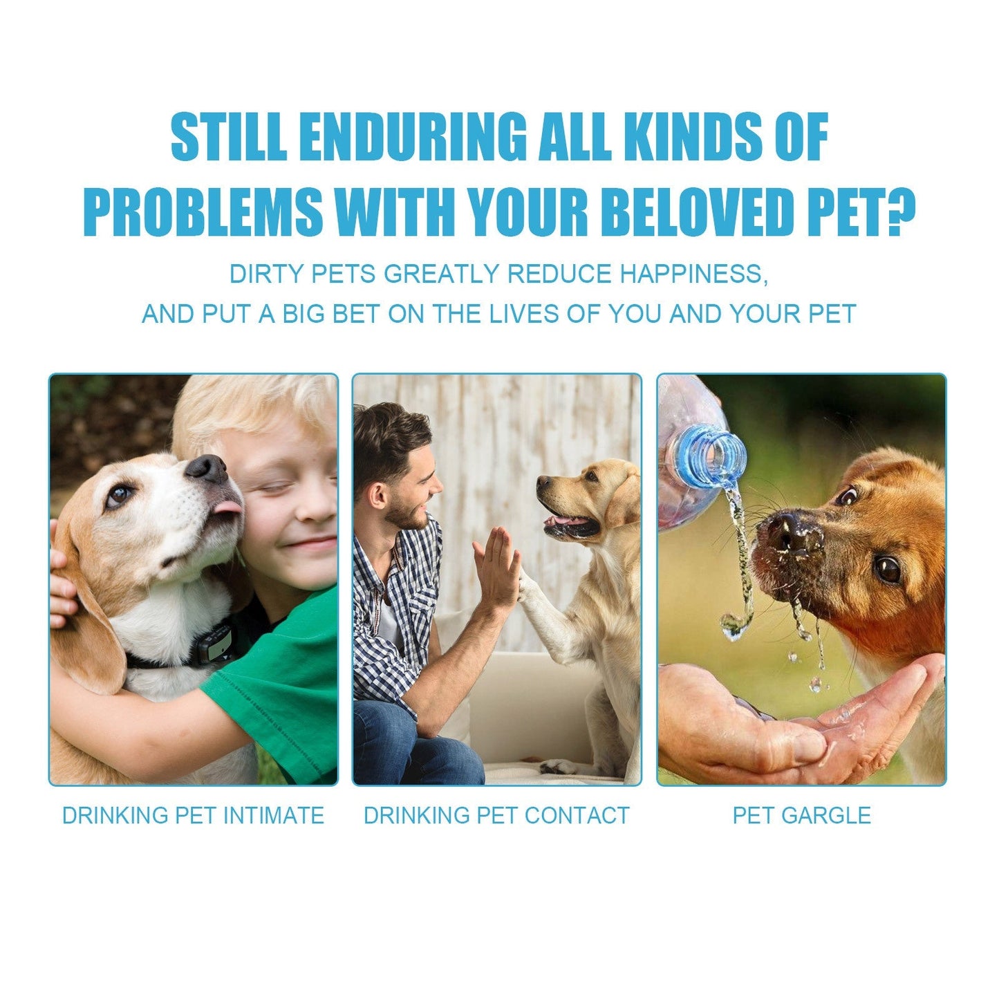 Pet Toothpaste for Dogs and Cats Oral Care Edible Fresh Breath Dental Cleaning - Purrfect Pet Kingdom