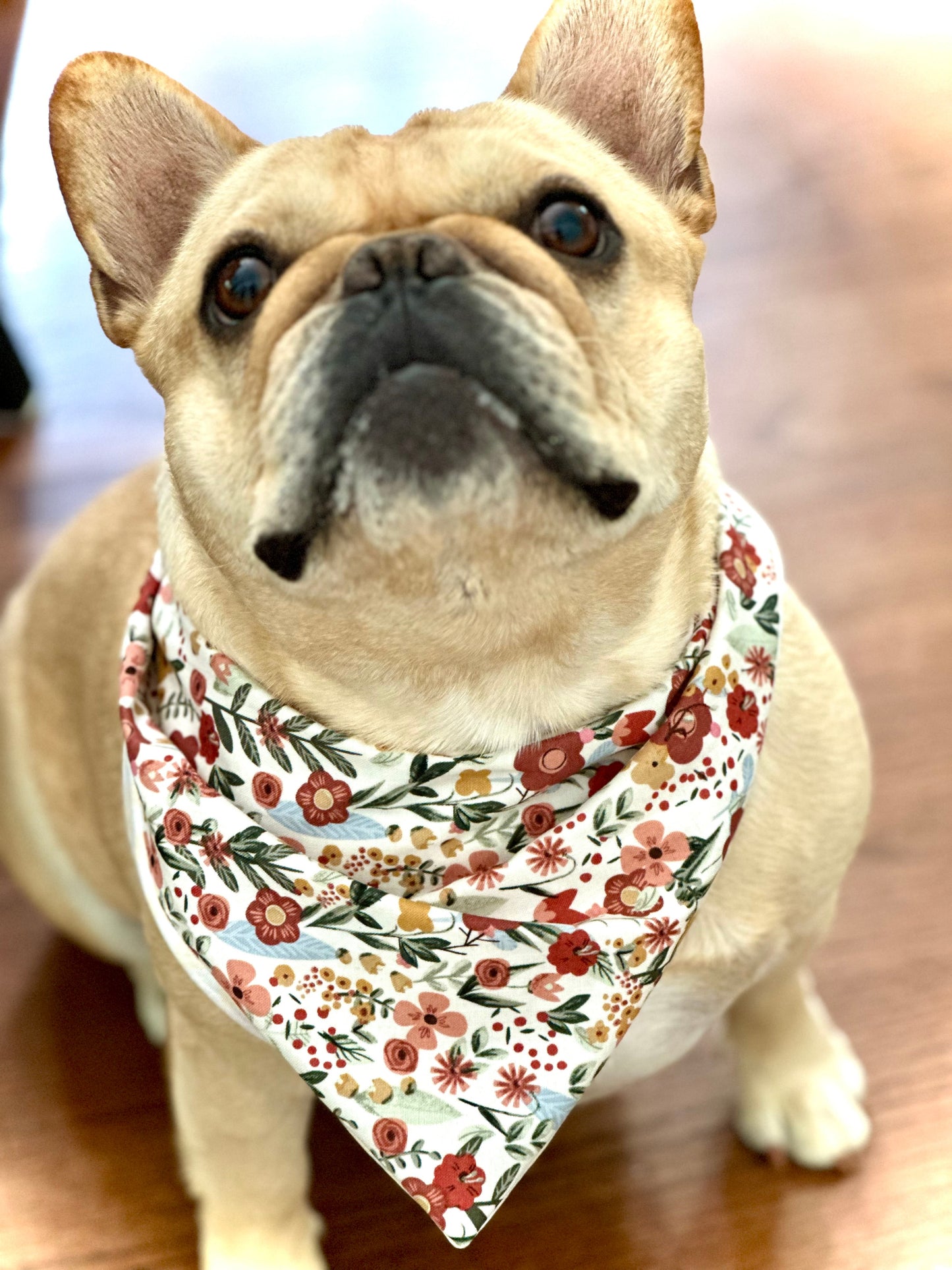 Floral Dog Bandana - Purrfect Pet Kingdom