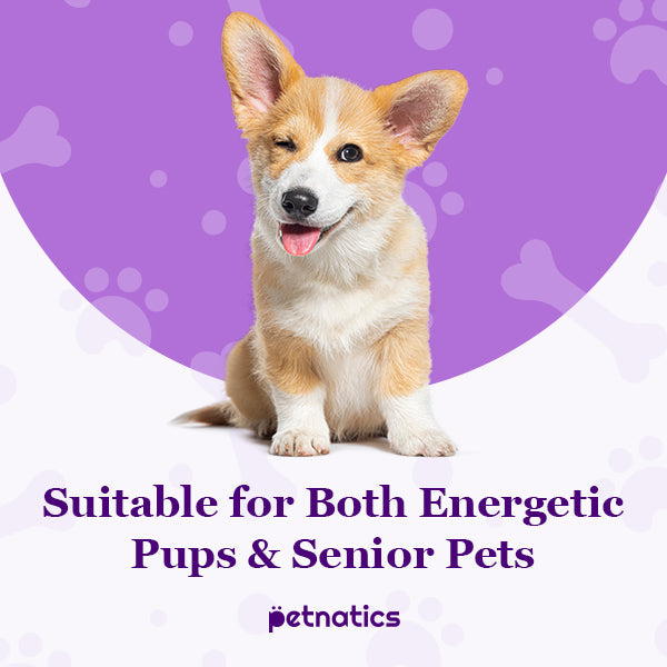 PawBalm ReducedSlip - Petnatics