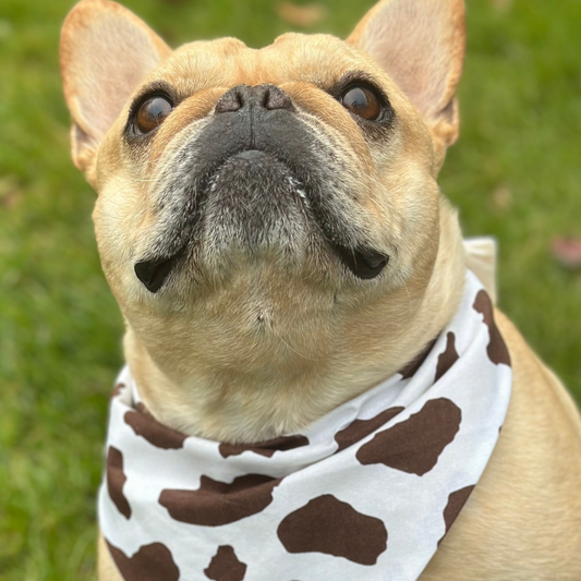 Cow Print Dog Bandana - Purrfect Pet Kingdom