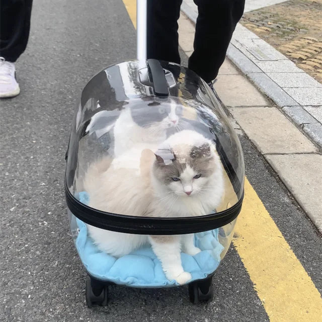 New Transparent Capsule Pet Travel Trolley Carriers Bag Stroller for 10kg Puppies Dogs Cat with Wheel - Purrfect Pet Kingdom