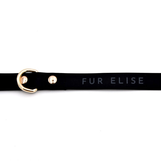 Elise Leash - Noir - Pet Leashes - Elise Galleria
