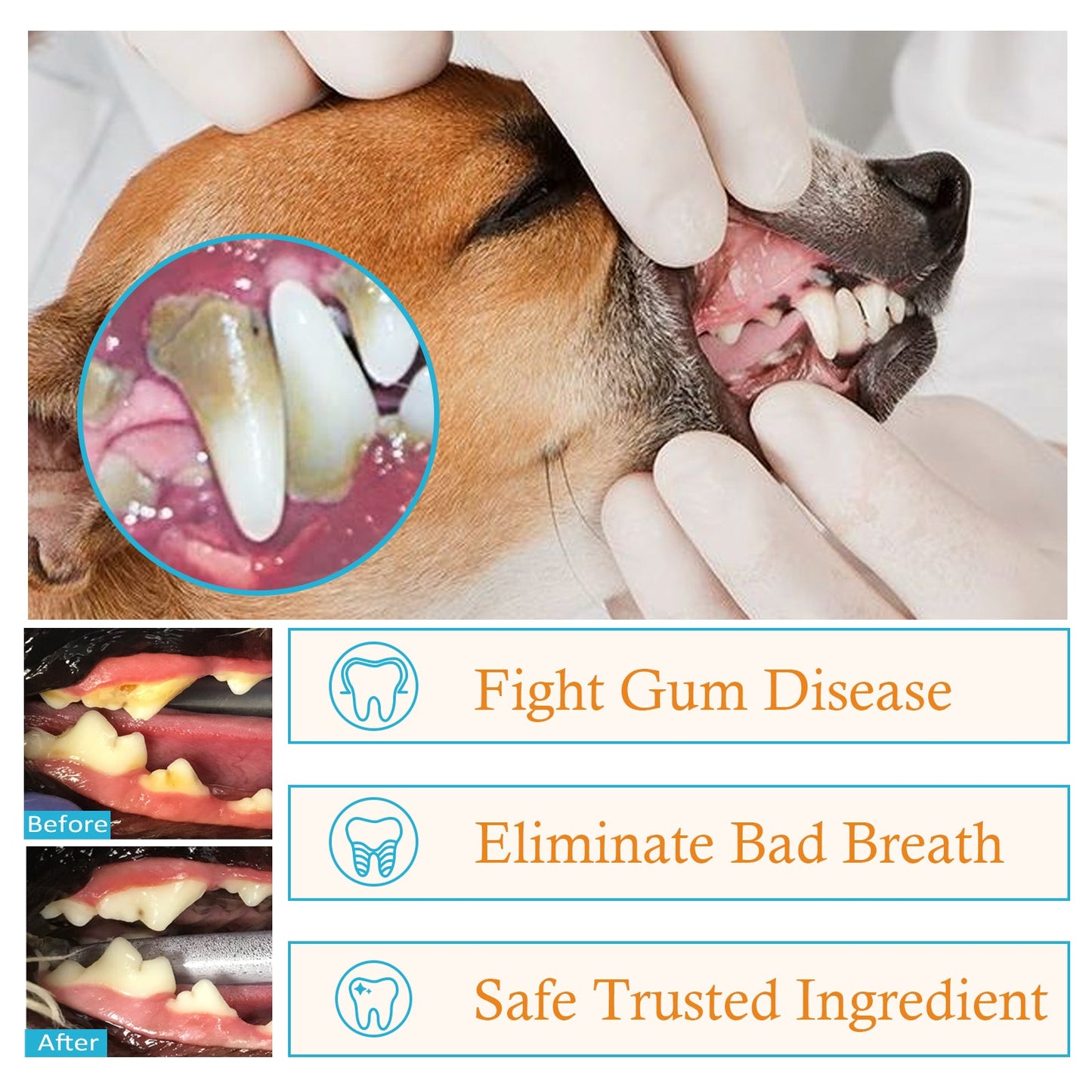 Dog Cat Tooth Cleaning Finger Set, Pet Breath Fresh Remove Tartar Stones Teeth Clean Finger Set - Purrfect Pet Kingdom