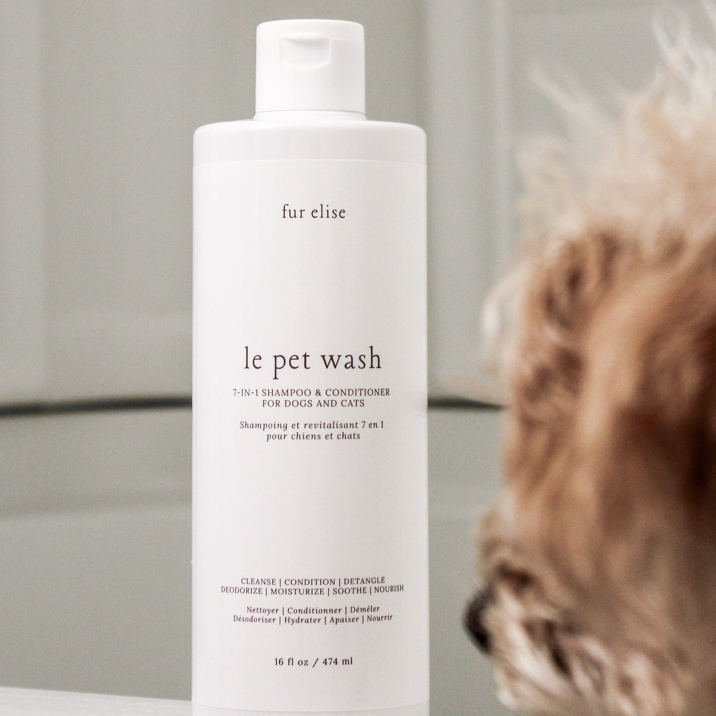 Le Pet Wash - Pet Wash - Elise Galleria