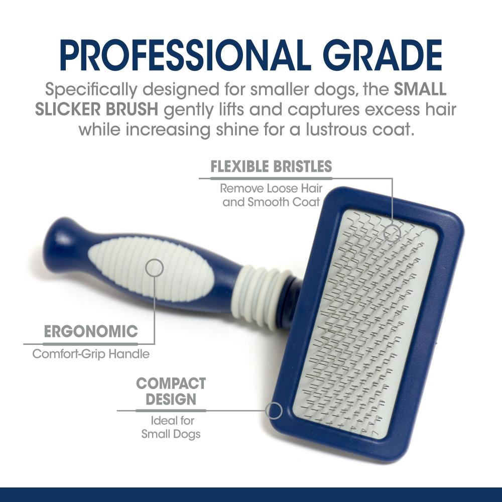 Four Paws Magic Coat® Professional Series Small Slicker Brush For Dogs - Pet Supplies - The Family Pet