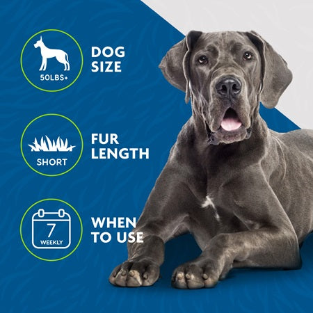 Furminator Undercoat deShedding Tool Large Dog Short Hair - Pet Supplies - The Family Pet