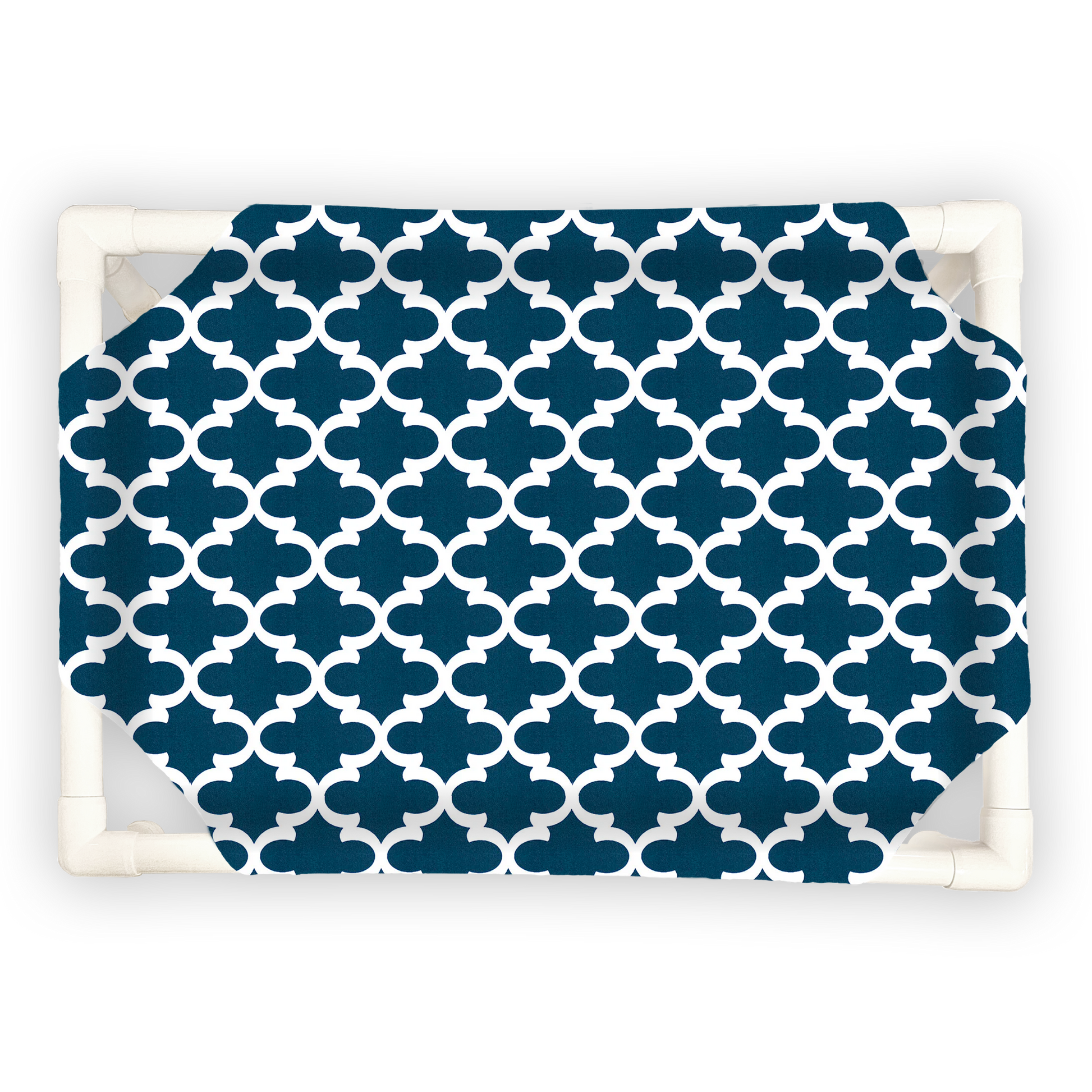 Fancy - The Family Pet