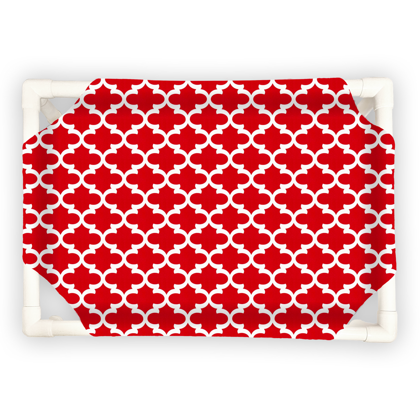 Fancy - The Family Pet