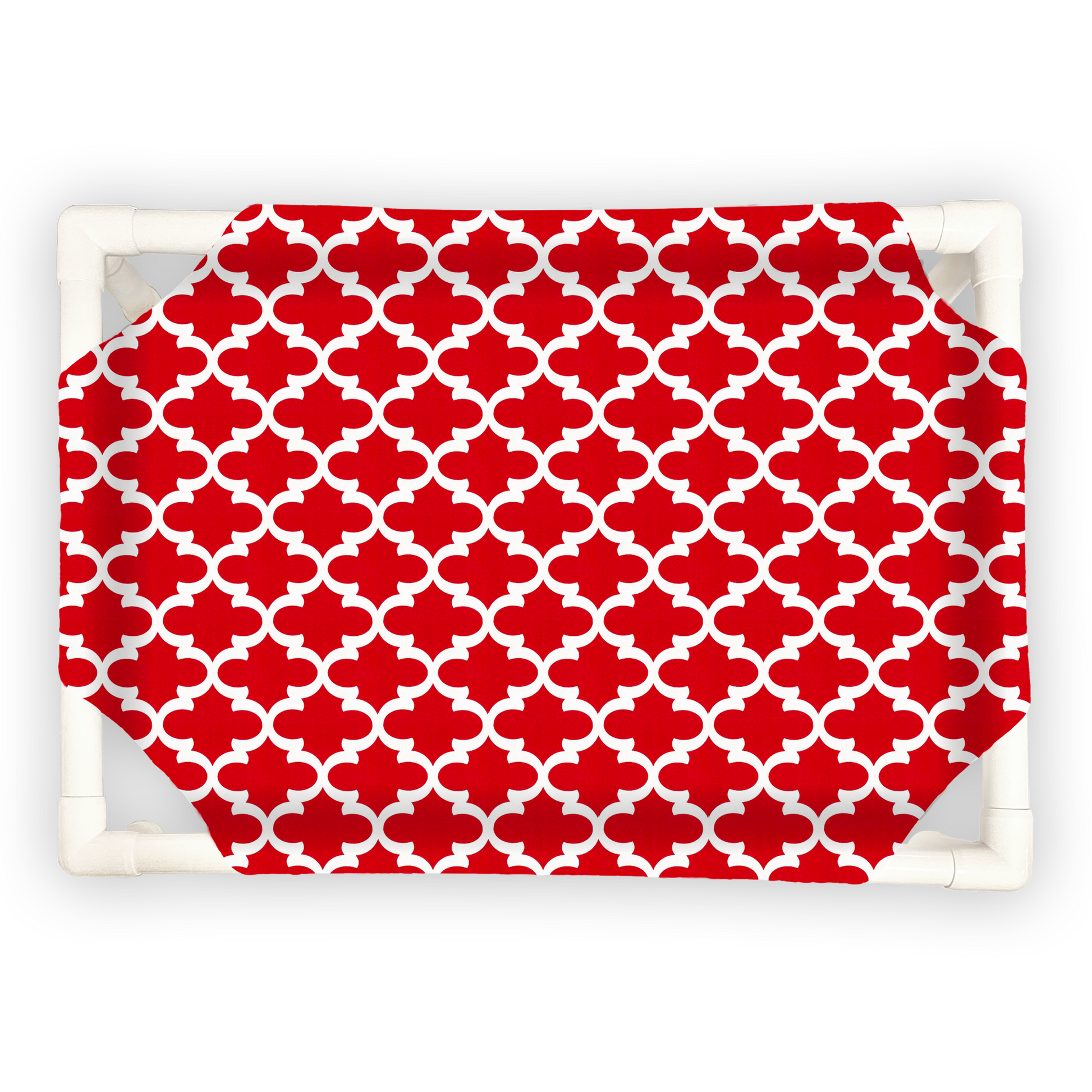 Fancy - The Family Pet