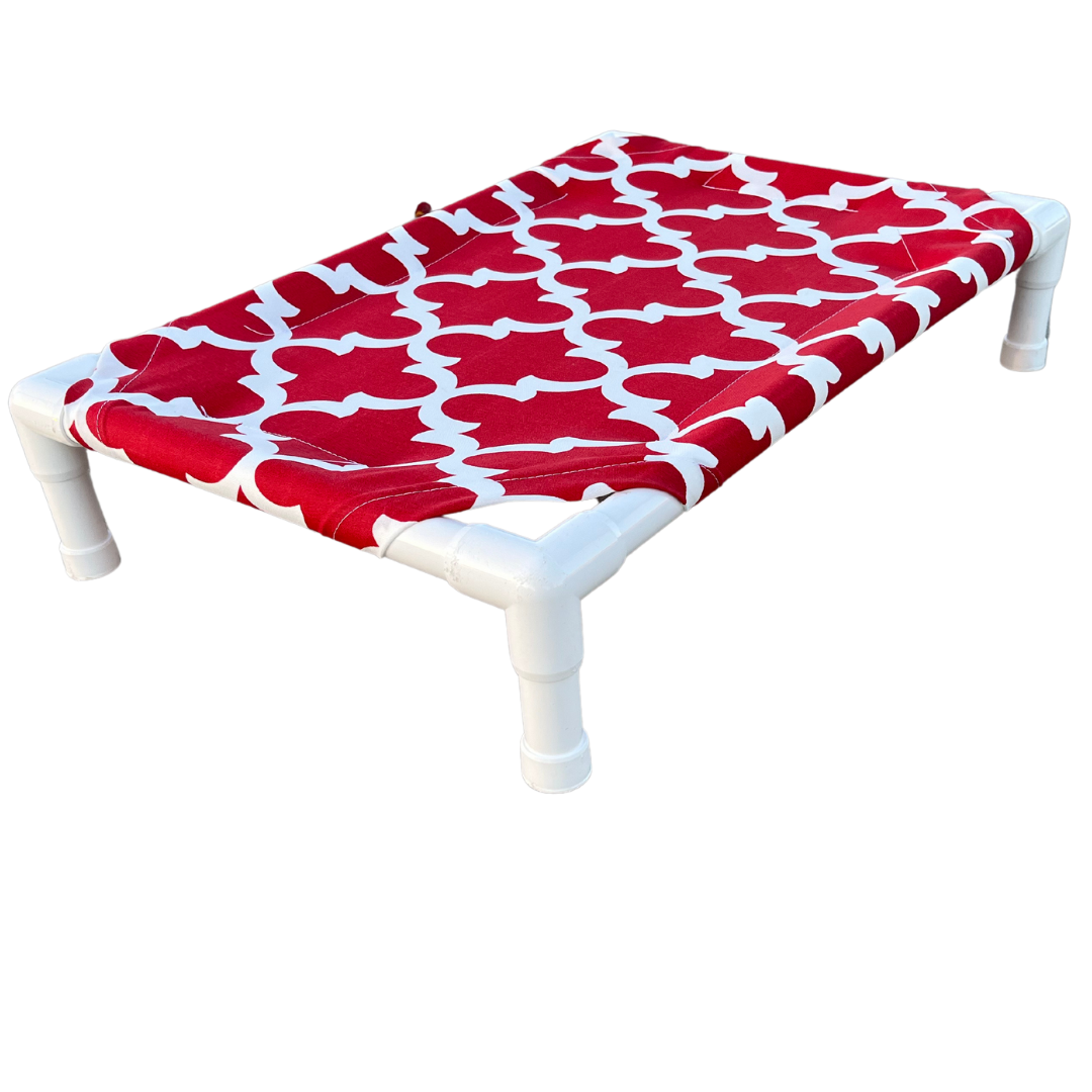 Fancy - The Family Pet