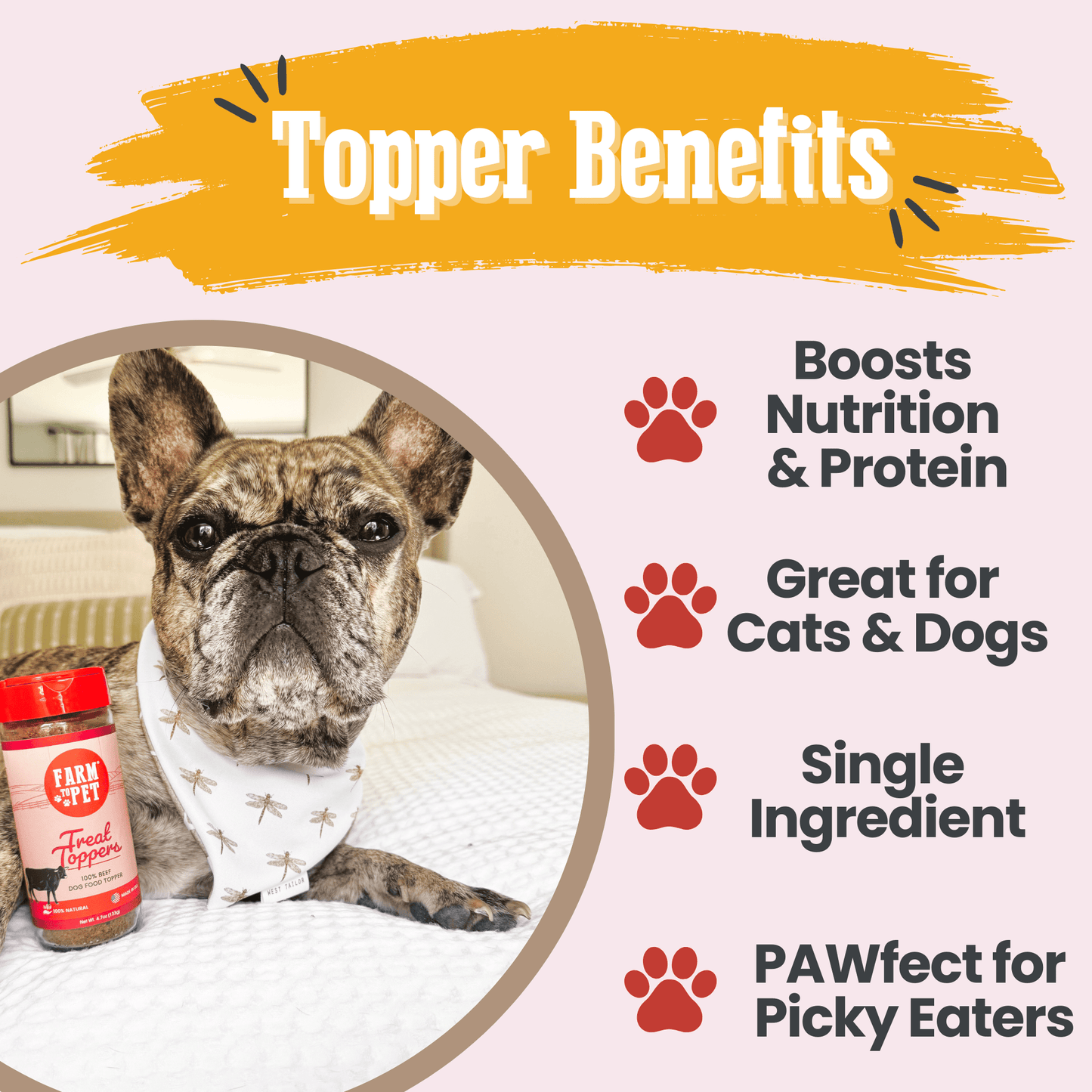 Dog Food Topper Beef Powder Meal Supplement 4oz 🥩