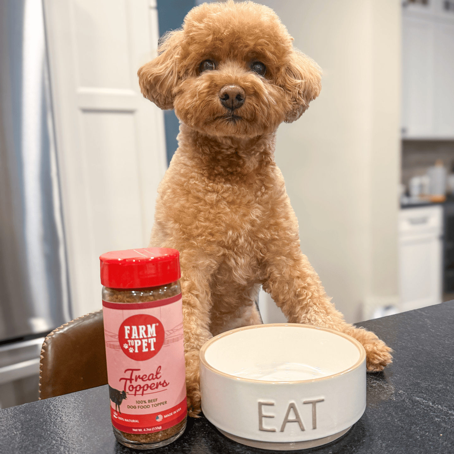 Dog Food Topper Beef Powder Meal Supplement 4oz 🥩