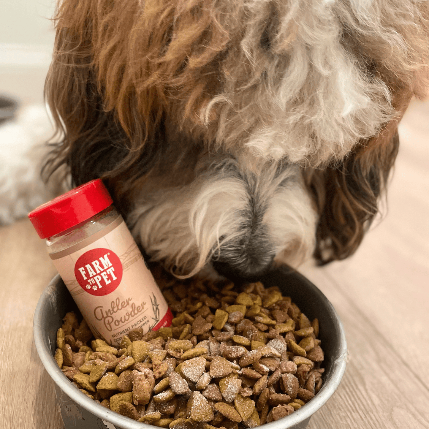 Dog Food Topper Antler Powder Supplement 4oz 🦌