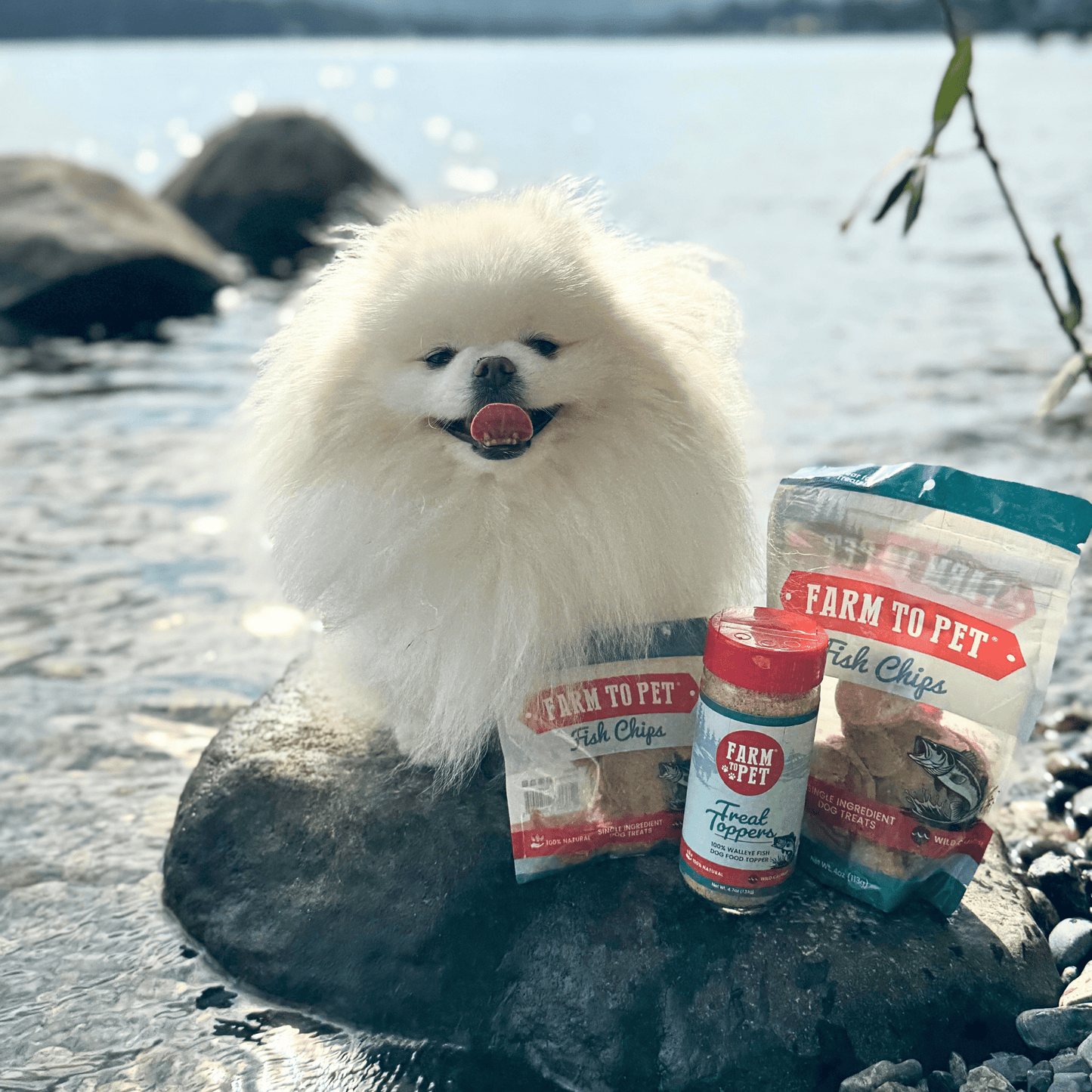 Fish Food Topper - Low-Fat Meal Enhancement ๐