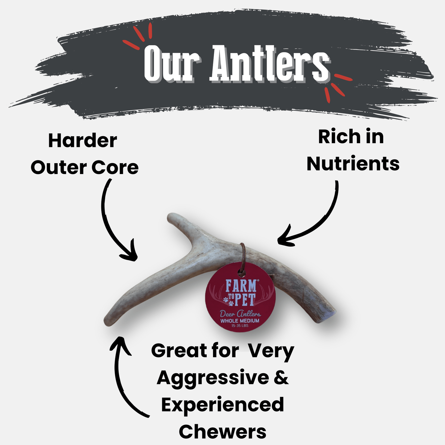 Deer Antler Dog Chews Large Whole 6 Oz ๐ฆ