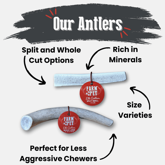 Elk Antler Dog Chews | All-Natural Whole and Split Elk