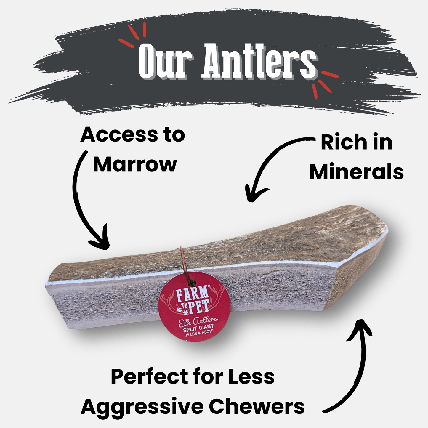 Elk Antlers Dog Chews Whole And Split Options ๐ฆ