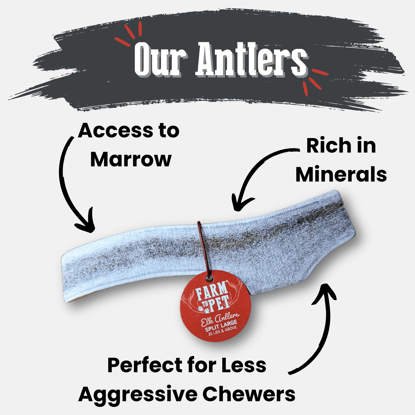 Elk Antlers Dog Chews Whole And Split Options ๐ฆ