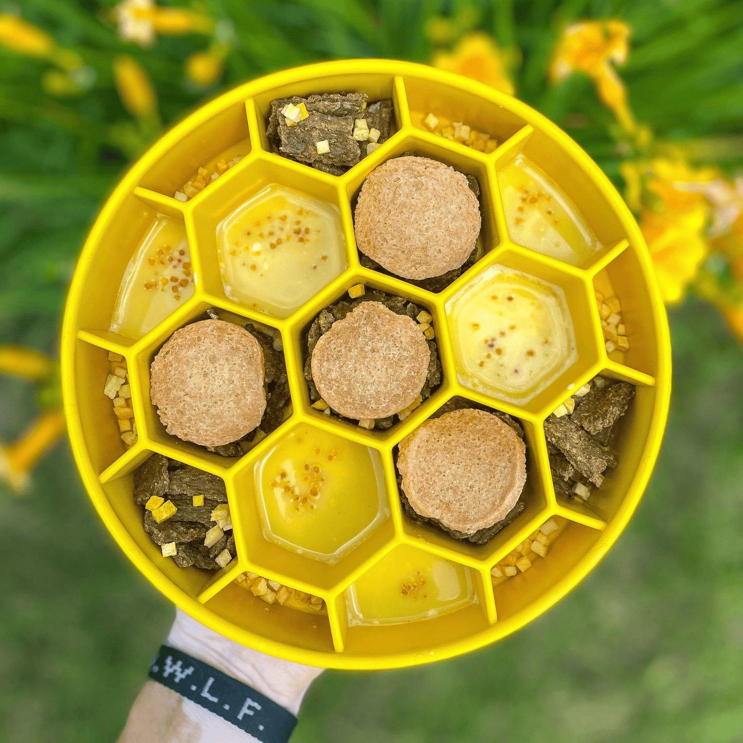 Slow Feeder Dog Bowl Honeycomb Design ๐ฝ๏ธ